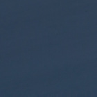 wiewiorka123