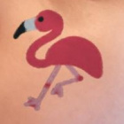 Flamingosy