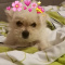 neyla.