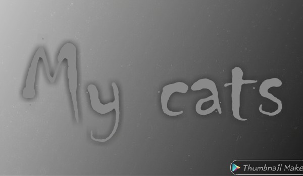 My cats – moje kocie rysunki