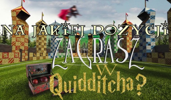 Jaką pozycję obejmiesz w Quidditchu?