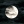 MidnightMoon