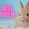 bestkrolik