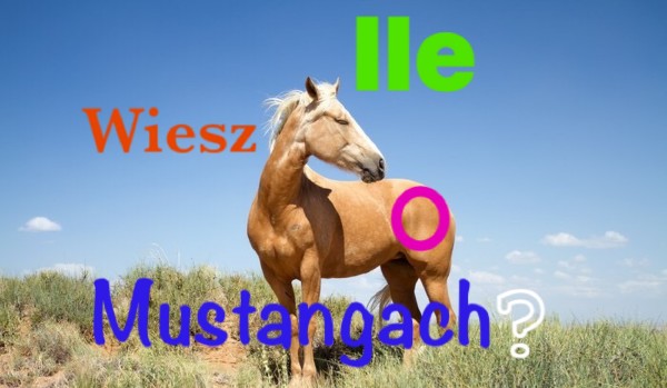 Ile wiesz o Mustangach?
