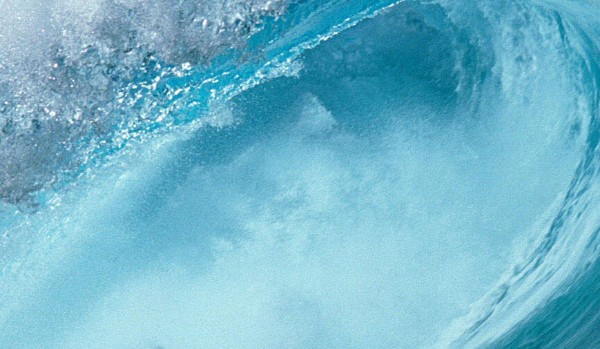 James Potter,Lily Evans i Severus Snape