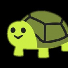 lil_turtle