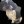 error12345PL