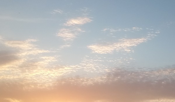 Piosenka zrobiona w aucie