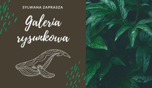 Galeria rysunkowa ★ 31