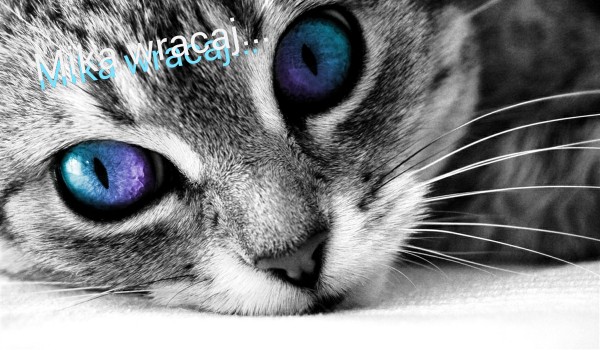 Mika wracaj… ~Rozdział 4~