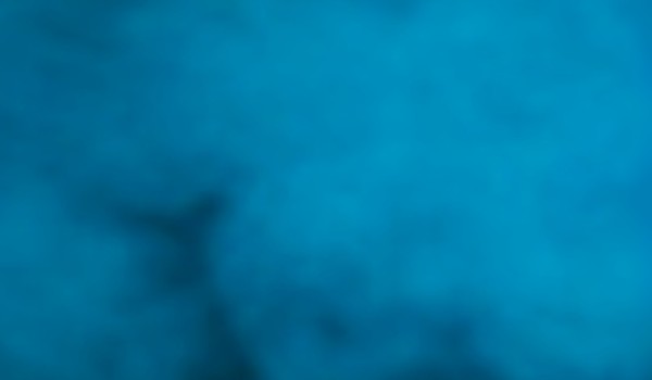 Wyniki konkursu kat 6