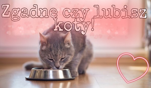 Zgadnę czy lubisz koty!