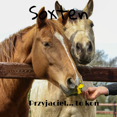 soxten