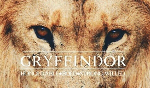 Rose White – Huncwotka 5