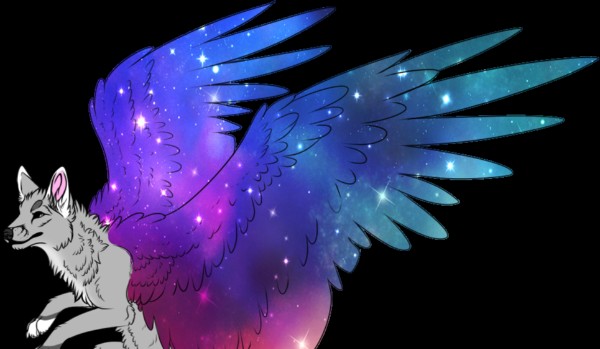 Nowe rangi do Stada!