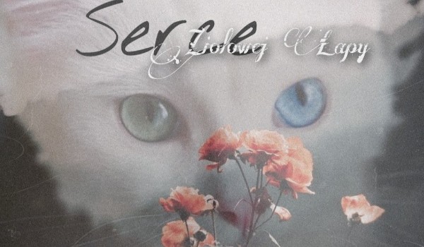 Serce Ziołowej Łapy – Rozdział 3