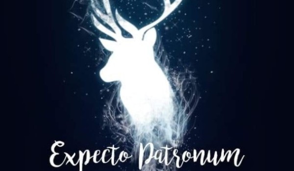 Wirtualny Hogwart – chartper one