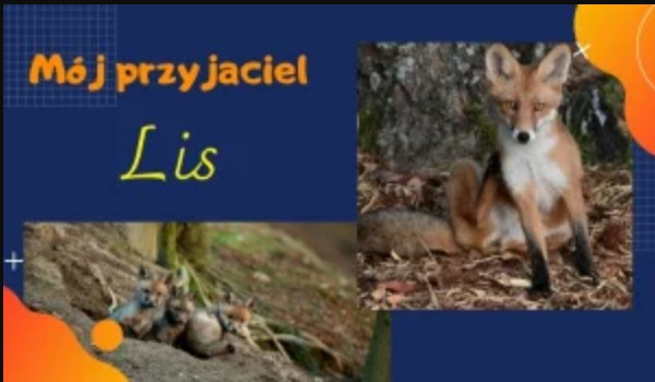 Mój przyjaciel lis #5