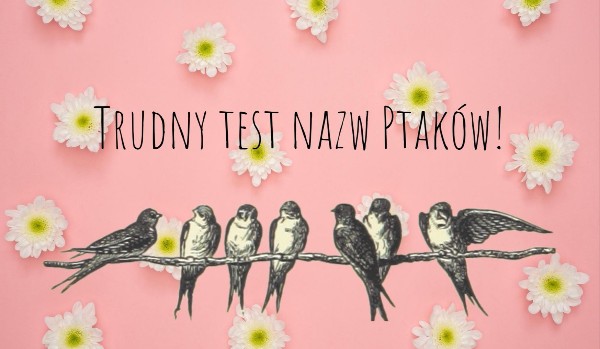 Trudny test nazw ptaków!