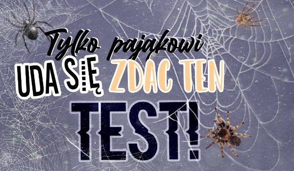 Tylko prawdziwy pająk zda ten test w 100%