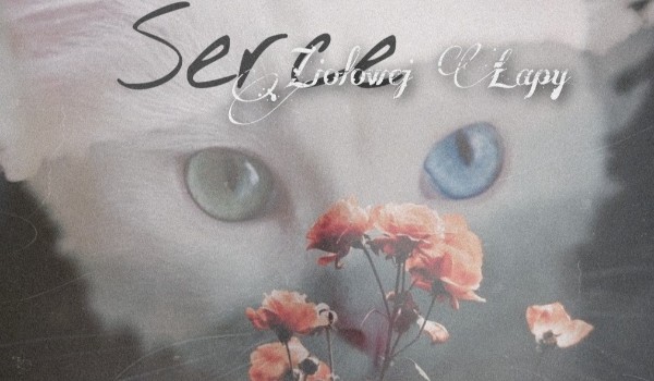 Serce Ziołowej Łapy – Rozdział 2