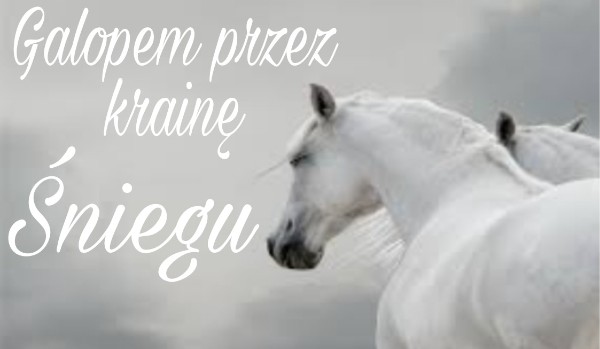 Galopem przez krainę Śniegu.#2
