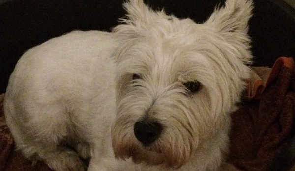 Jaki masz charakter?