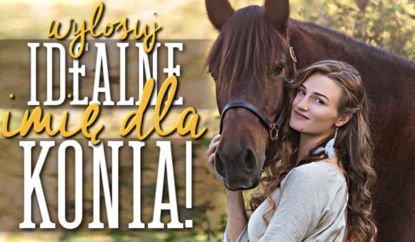 Wylosuj idealne imię dla Twojego konia!
