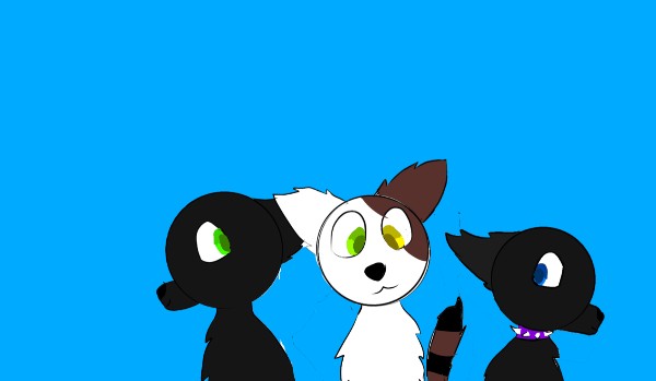 Przedstawiam moje OC (lego niniago )