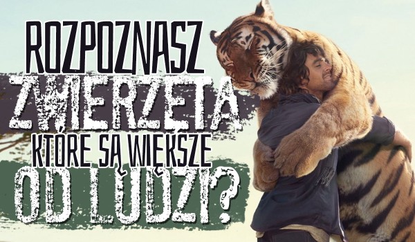 Rozpoznasz zwierzęta, które są większe od ludzi?