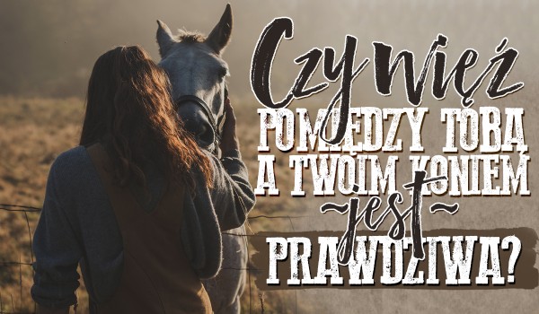 Czy więź pomiędzy Tobą a Twoim koniem jest prawdziwa?