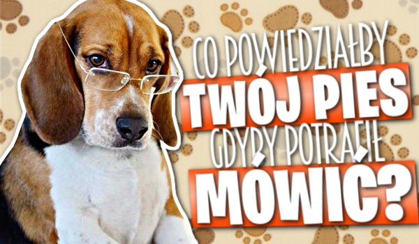 Co powiedziałby Twój pies, gdyby potrafił mówić?