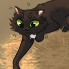 Lwie_Pioro_Obserwotor