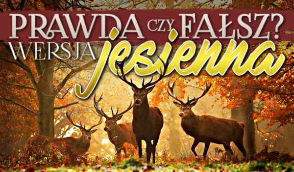 Prawda czy fałsz? – Wersja jesienna!