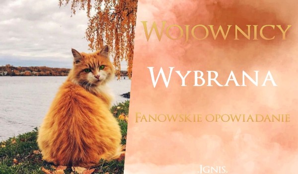 Wybrana ~ Rozdział III