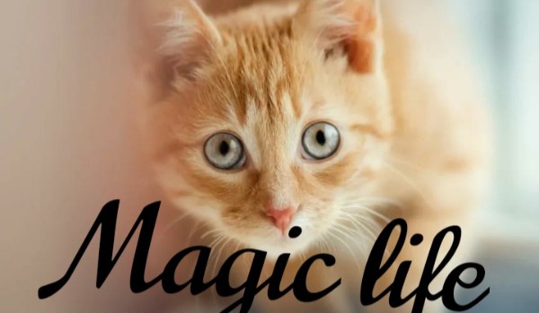 Magic Life #2