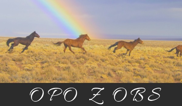 Galopem w tarapaty – #1