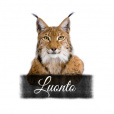 Luonto