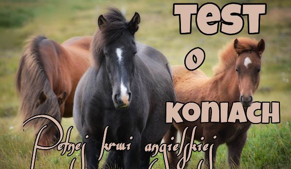 Test o koniach Pełnej krwi angielskiej