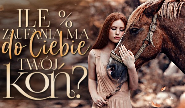Ile % zaufania, ma do Ciebie Twój koń?