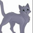 BlueStar_WarriorCats