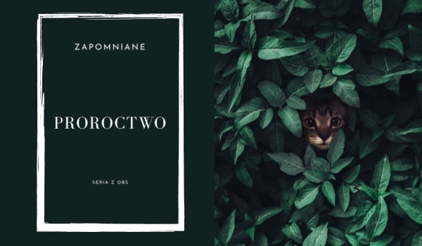 zapomniane Proroctwo ~klan ognia~