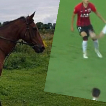 sportowe_EGO