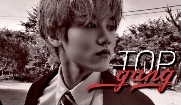 TOP GANG  |5|