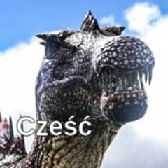 Niemazadnychwolnychhasl
