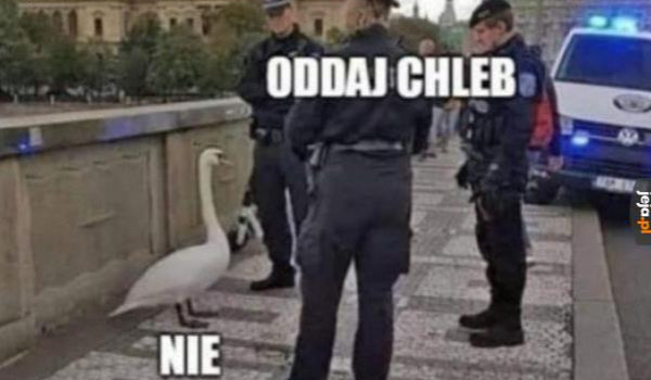 ” Alfabet Z .Poszukiwacz. „