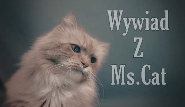 Wywiad z Ms.Cat