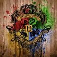 Hogwartsquizzes55