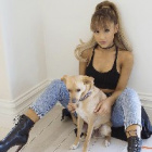 ArianatorAri