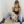 ArianatorAri